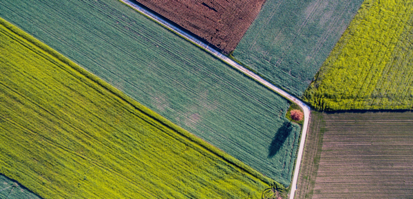 Aerial photo of crops