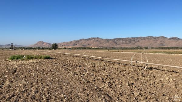 photo of a dry field